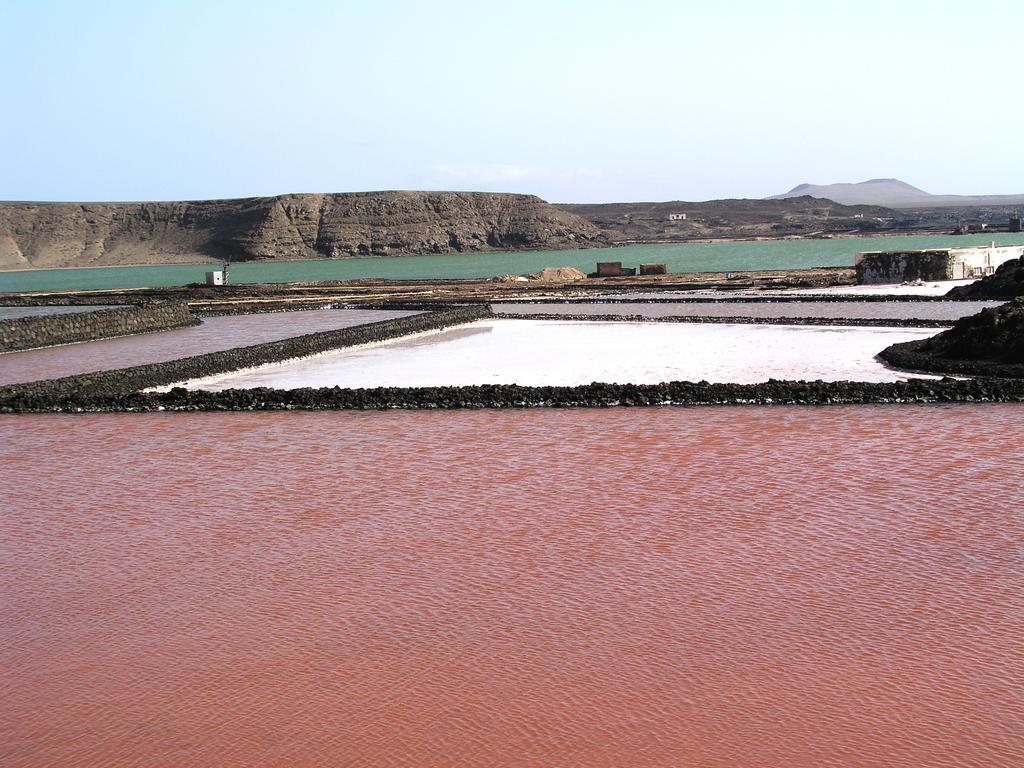 Finca El Oratorio Masdache Oda fotoğraf